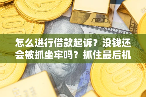济南怎么进行借款起诉？没钱还会被抓坐牢吗？抓住最后机会！