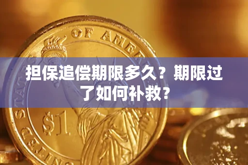 济南担保追偿期限多久？期限过了如何补救？